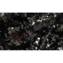 Black Large Payette Sequins On Mesh